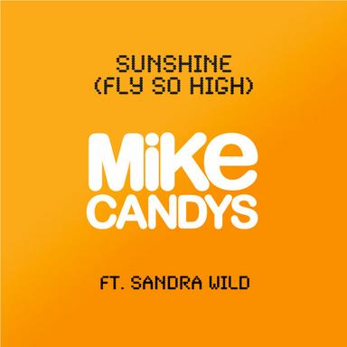 Sunshine (Fly So High)