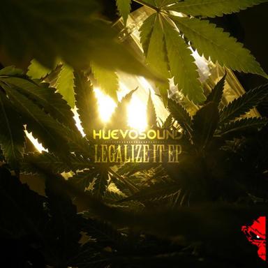 Legalize It - Original Mix