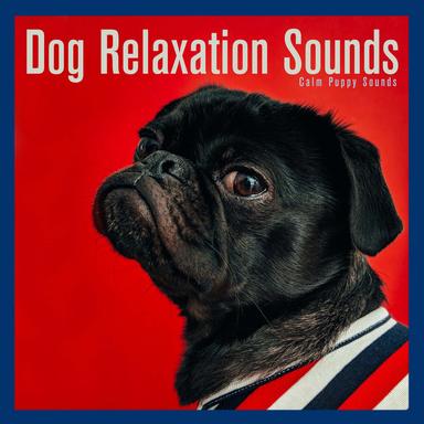 Inner Bliss