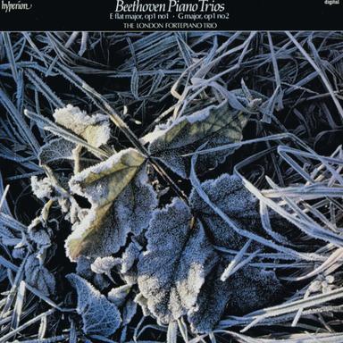 Piano Trio No. 2 in G Major, Op. 1 No. 2: II. Largo con espressione
