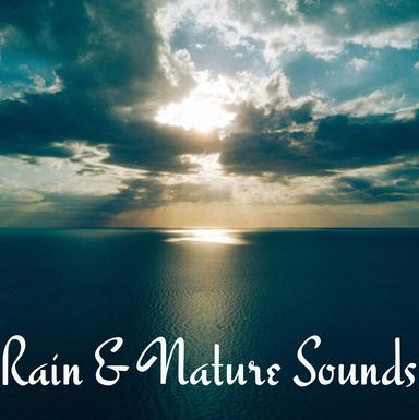Rain Sounds - Sleep Better