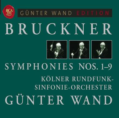 Symphony No. 5 in B flat major (Original Version 1875-1878): Scherzo: Molto vivace (schnell)