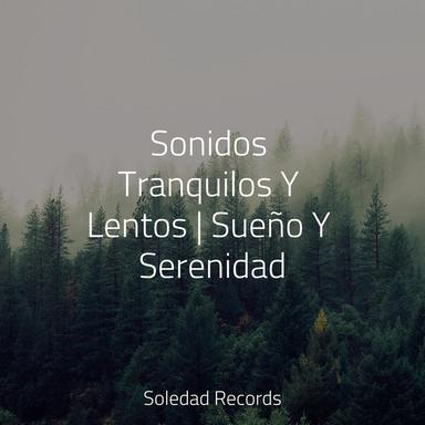 Un Estado de Relajación