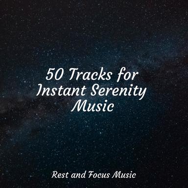 Serene & Harmonic