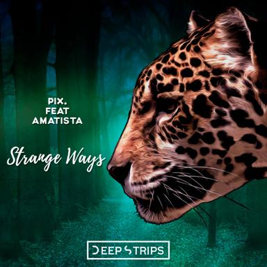 Strange Ways - Elegant Ape Remix