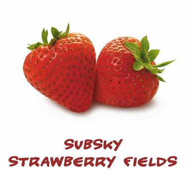 Strawberry Fields - Max Graham Mix
