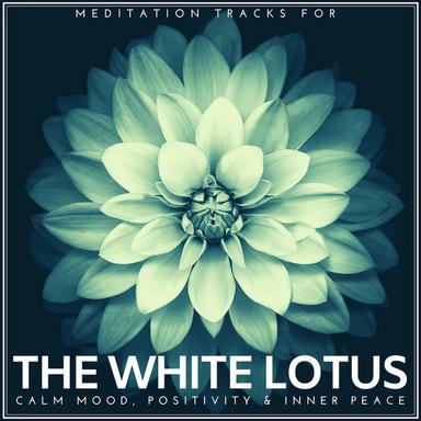 Looking For New Day - Original Mix