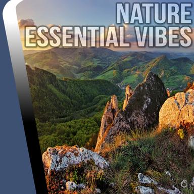 Fundamental Feeling - Original Mix