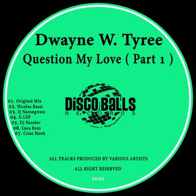 Question My Love - Dj Parolov Remix