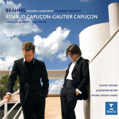 Brahms: Clarinet Quintet in B Minor, Op. 115: III. Andantino