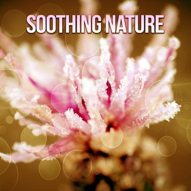Nature Sounds