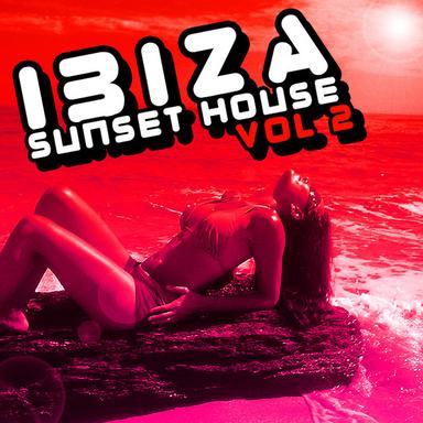 Please Don't Go - Chris Reece Radio Edit