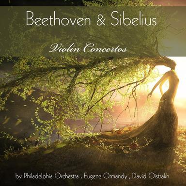 Violin Concerto in D Minor, Op. 47: I. Allegro moderato
