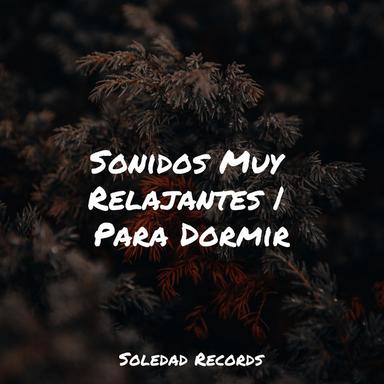 Silencio De Un Sueño