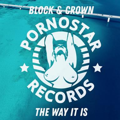 The Way It Is - Original Mix