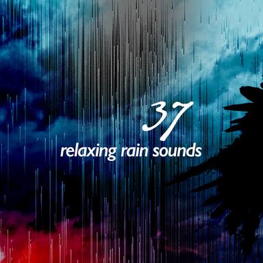 Rain on Canvas
