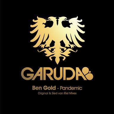 Pandemic - Sied van Riel Remix
