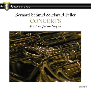 Sonata In D Major For Trumpet And Organ: I. Pomposo