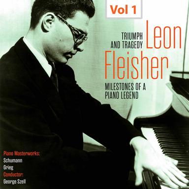 Piano Concerto in A Minor, Op. 16: I. Allegro molto moderato