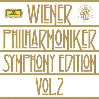 Symphony No. 5 in B-Flat Major, WAB 105 (Ed. Nowak): IV. Finale. Adagio - Allegro molto - Live at Musikverein, Vienna, 1993