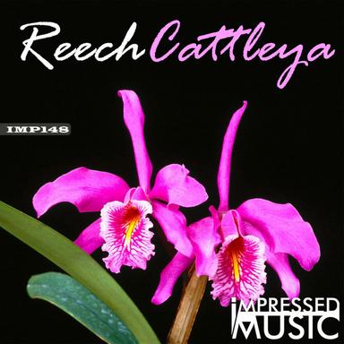 Cattleya - Original Mix