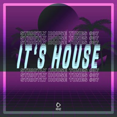 Let You Shake It - Extended Mix
