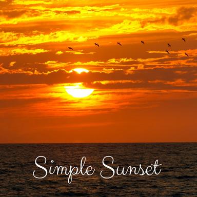 The Perfect Tide