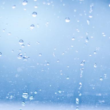 Rain in the Garden