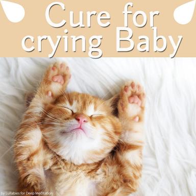 Newborn Sleep