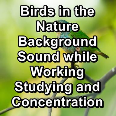 Birdsong Music