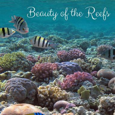 In the Sea