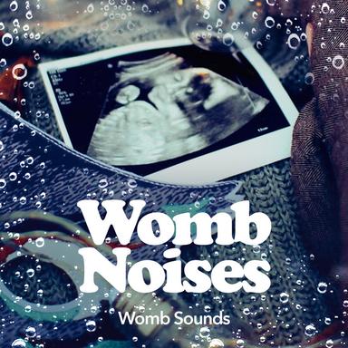 Womb Sound with Pulse