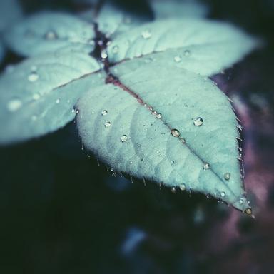 Breath of Fresh Air