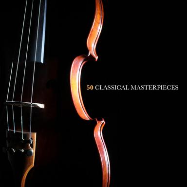 Sonata for Violin and Piano in G Minor, D. 408: I. Allegro giusto