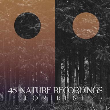 Bird Songs at the River