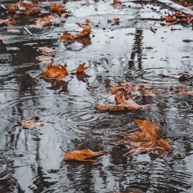 Splish Splash Rains
