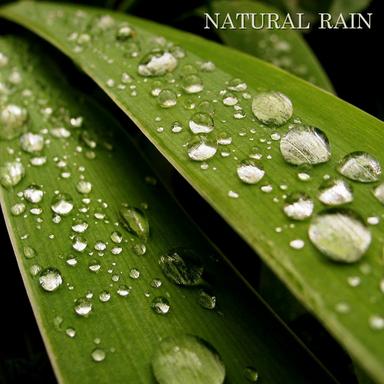 Spa Rain