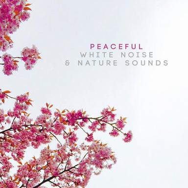 Peaceful White Noise & Nature Sounds