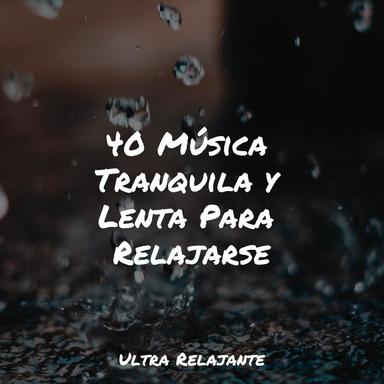 Meditación Consciente
