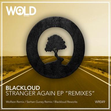 Insider - Wolfson Remix