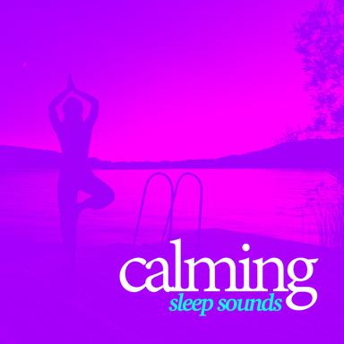 Beyond Concepts
