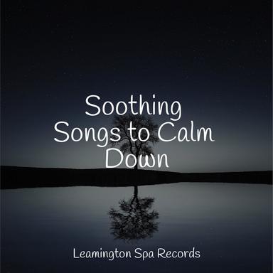 Stress Free Sounds