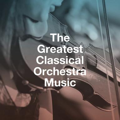 Cello Concerto No. 1 in C Major, Hob. Viib:1: I. Moderato