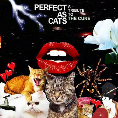 A Forest - Perfect As Cats Version