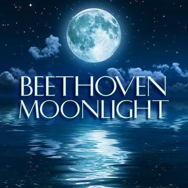 Piano Concerto No. 5 in E-Flat Major, Op. 73, "Emperor": II. Adagio un poco mosso