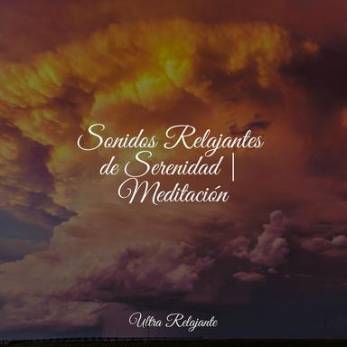 Memoria Nocturna Del Océano