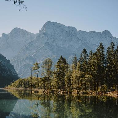 Reflections in a Lake