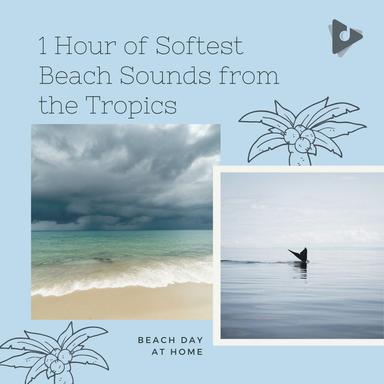 Gentle Beach Waves