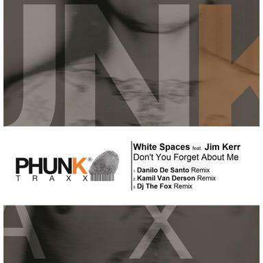 Don't You (Forget About Me) - DJ The Fox Remix
