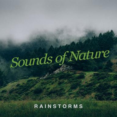 Rain In The Meadow